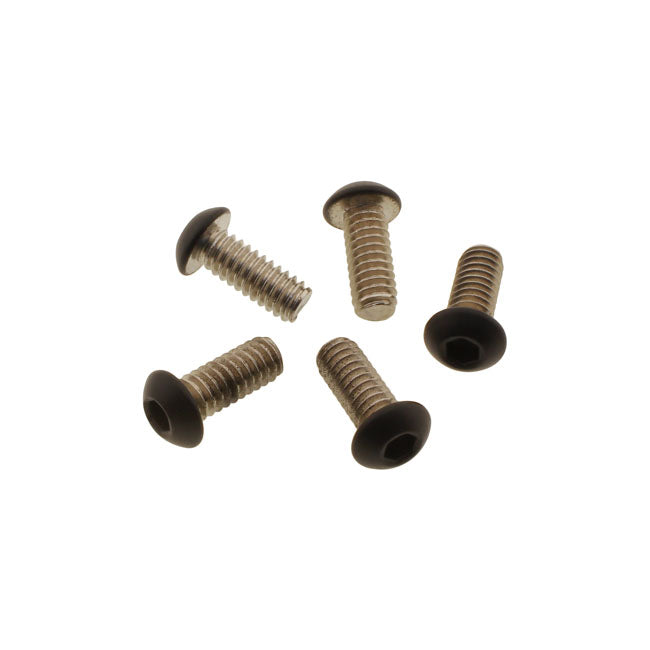 Screws4 Bikes, Bolt Kit, Air Cleaner Builders Fastener Sets Screws4 Bikes