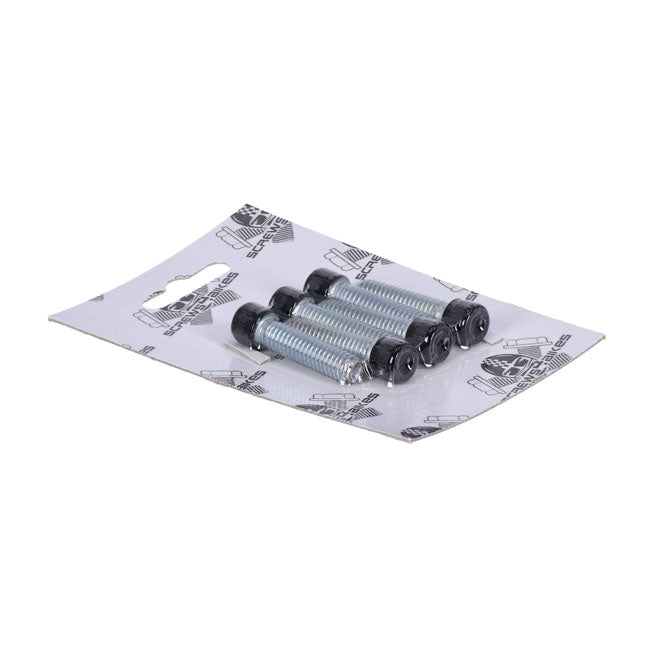 Screws4 Bikes, Bolt Kit, Front Fork Brackets Builders Fastener Sets Screws4 Bikes