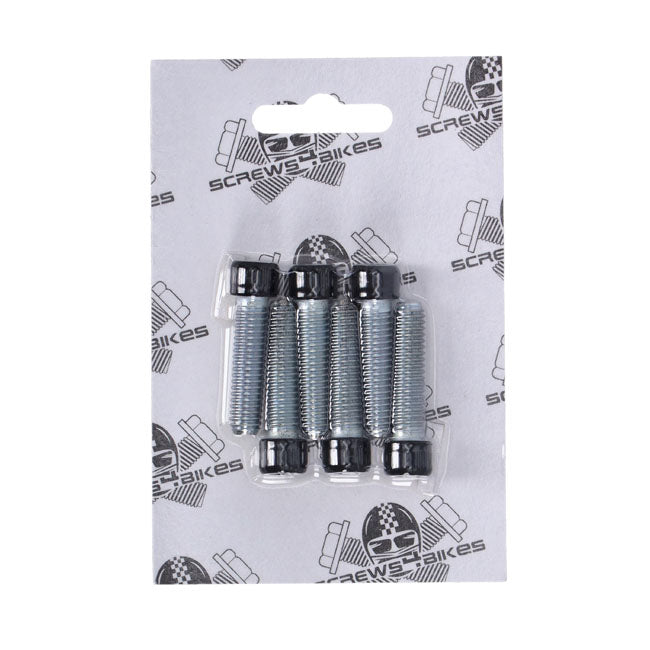 Screws4 Bikes, Bolt Kit, Front Fork Brackets Builders Fastener Sets Screws4 Bikes