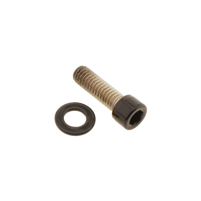 Screws4 Bikes, Bolt Kit, Rear Belt Guard Builders Fastener Sets Screws4 Bikes