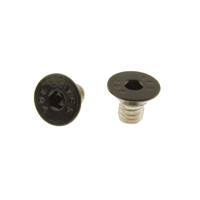 Screws4 Bikes, Bolt Kit, Air Cleaner Builders Fastener Sets Screws4 Bikes