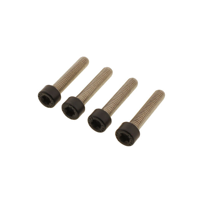 Screws4 Bikes, Bolt Kit, Front Fender Builders Fastener Sets Screws4 Bikes