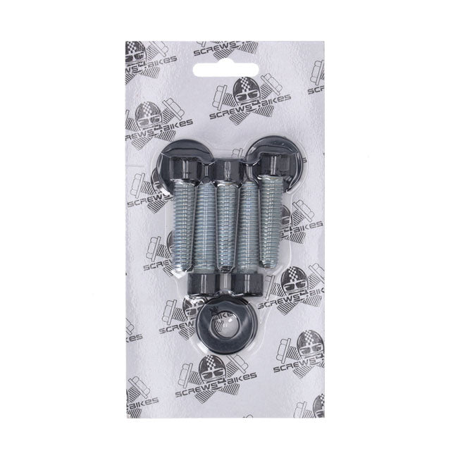 Screws4bikes, Bolt Kit, Pulley Builders Fastener Sets Screws4 Bikes