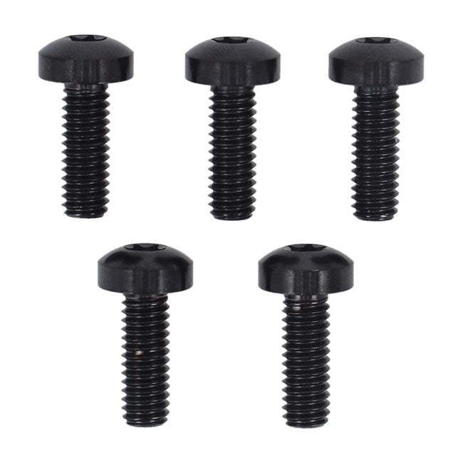 Screws4bikes, Bolt Kit, Brake Rotor Discs Front (Titan) Builders Fastener Sets Screws4 Bikes