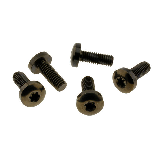 Screws4bikes, Bolt Kit, Brake Rotor Discs Rear (Titan) Builders Fastener Sets Screws4 Bikes