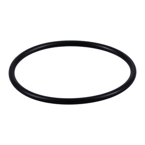 Athena, carburetor to manifold spacer block o-ring Athena