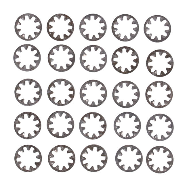 Ss Int. Lockwasher, 1/4 Inch 25 Pack Lockwashers Stainl Int. Usa Sizes Gardner Westcott