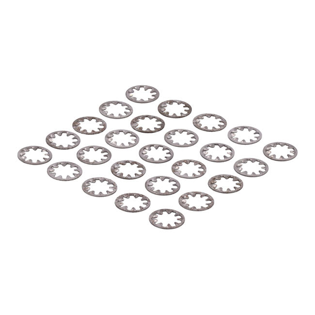 Ss Int. Lockwasher, 1/4 Inch 25 Pack Lockwashers Stainl Int. Usa Sizes Gardner Westcott