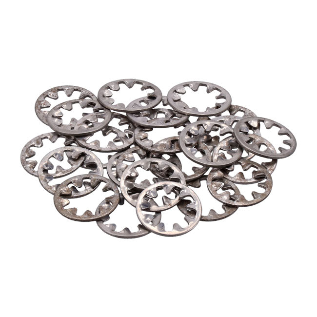 Ss Int. Lockwasher, 1/4 Inch 25 Pack Lockwashers Stainl Int. Usa Sizes Gardner Westcott
