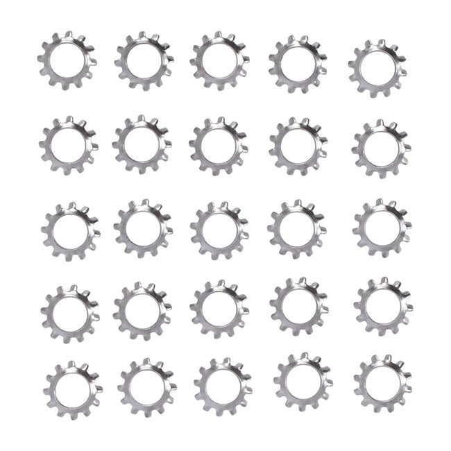 Ss Ext. Countersunk Lockwasher, 1/4 Inch Lockwashers Usa Sizes Gardner Westcott
