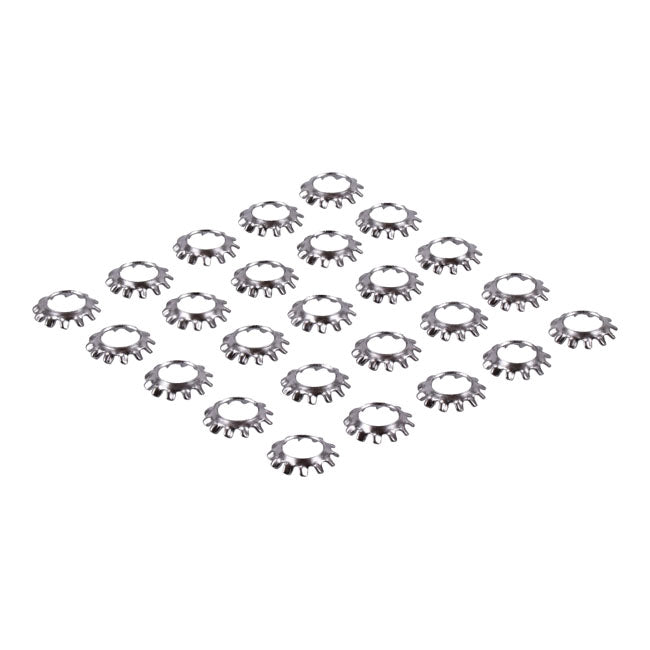 Ss Ext. Countersunk Lockwasher, 1/4 Inch Lockwashers Usa Sizes Gardner Westcott