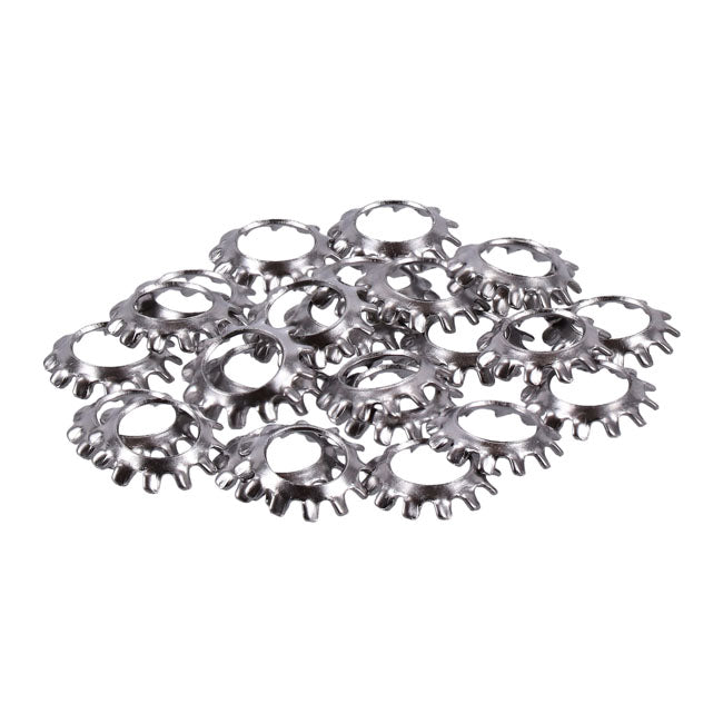 Ss Ext. Countersunk Lockwasher, 1/4 Inch Lockwashers Usa Sizes Gardner Westcott