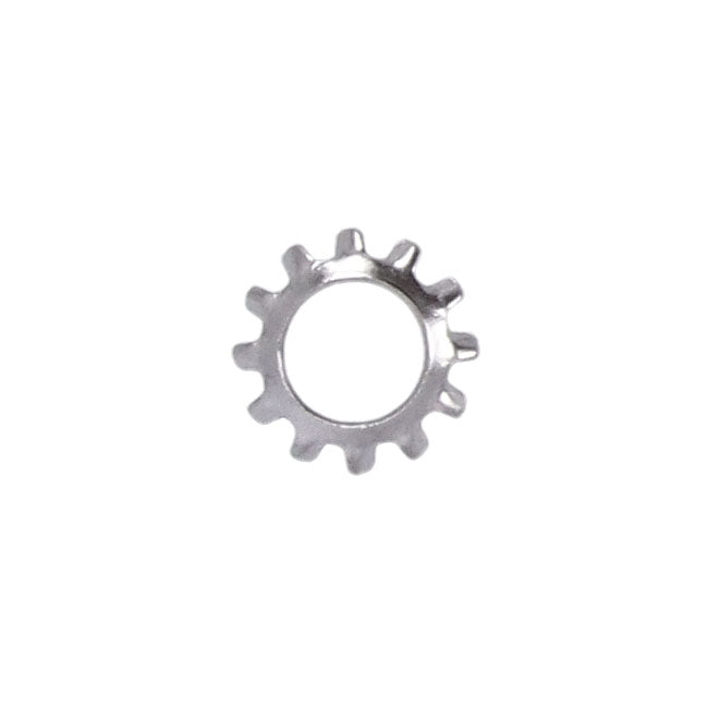 Ss Ext. Countersunk Lockwasher, 1/4 Inch Lockwashers Usa Sizes Gardner Westcott