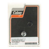 Colony plug hex, oil pump check valve Oil Pump Parts Colony