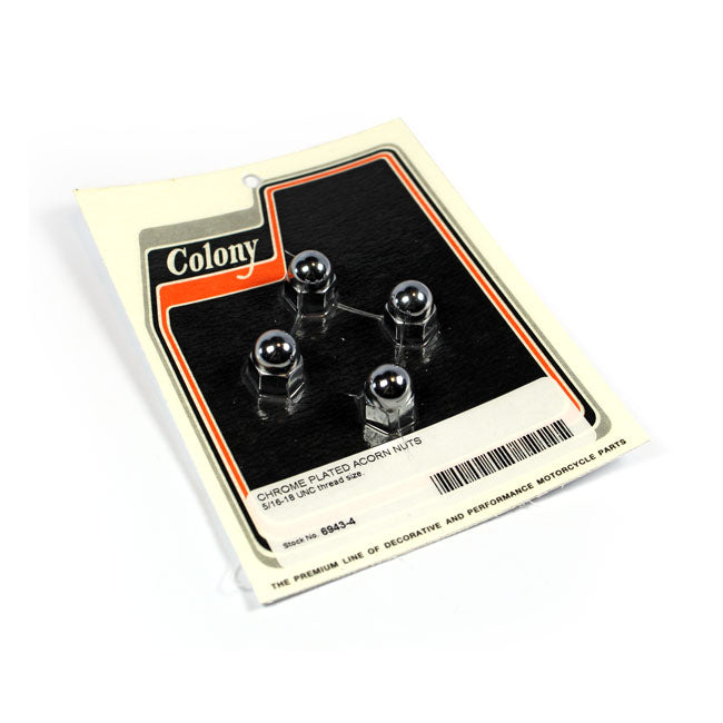 Colony acorn nuts Nuts Usa Sizes Colony