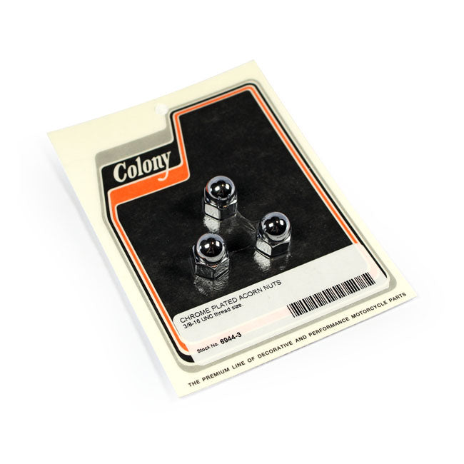 Colony acorn nuts Nuts Usa Sizes Colony