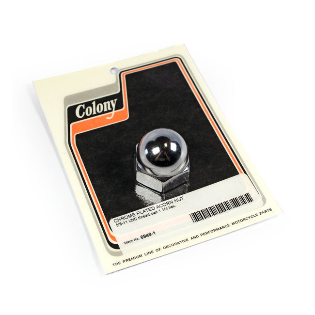 Colony acorn nuts Nuts Usa Sizes Colony