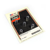 Colony acorn nuts Nuts Usa Sizes Colony