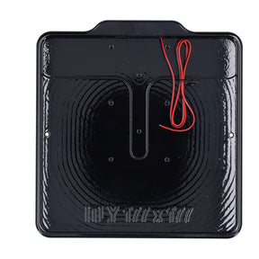 Dmp, License Plate Frame With Light 5.0 Italy. Gloss Black License Plate Frames Danish Motorcycle Parts