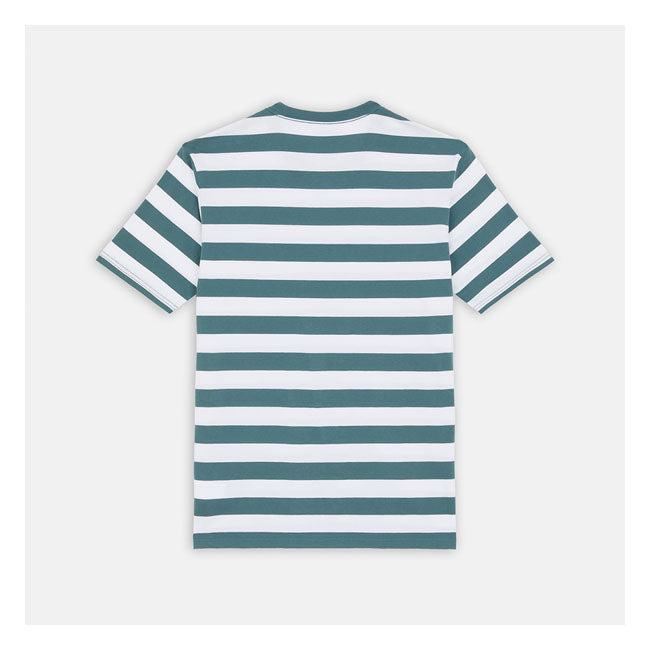 Dickies Rivergrove T-Shirt Lincoln, Green T-Shirt Dickies S