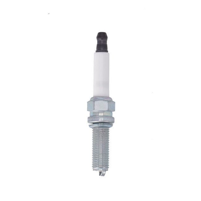 Oem Spark Plug - 21-24 Sportster & 22-24 Nightster & 21-24 Pan American Spark Plugs Oem