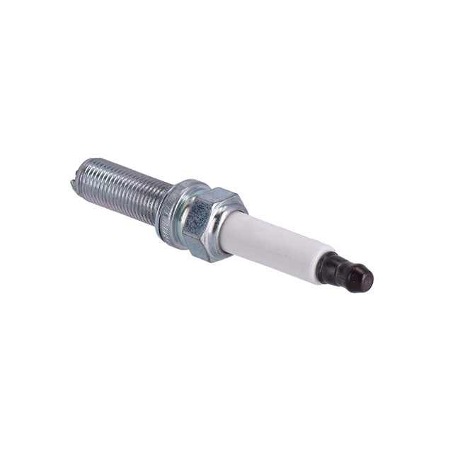 Oem Spark Plug - 21-24 Sportster & 22-24 Nightster & 21-24 Pan American Spark Plugs Oem