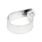 Paughco, Muffler P-clamp 2-1/2" chrome Exhaust Mount Parts Paughco