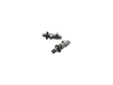 Cce Crane Cams Crane 304 2 Cam Cce Default Title