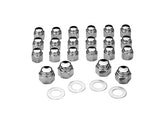 Colony Rocker Box Cap Nut Set Colony Default Title
