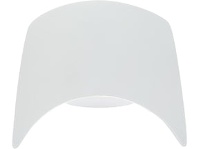 Ricks Motorcycles Windshield For Sportster 48 Models Raw Ricks Motorcycles