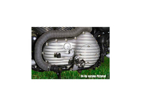 Emd Ribsters Primary Cover Raw Emd