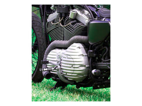 Emd Ribsters Primary Cover Raw Emd