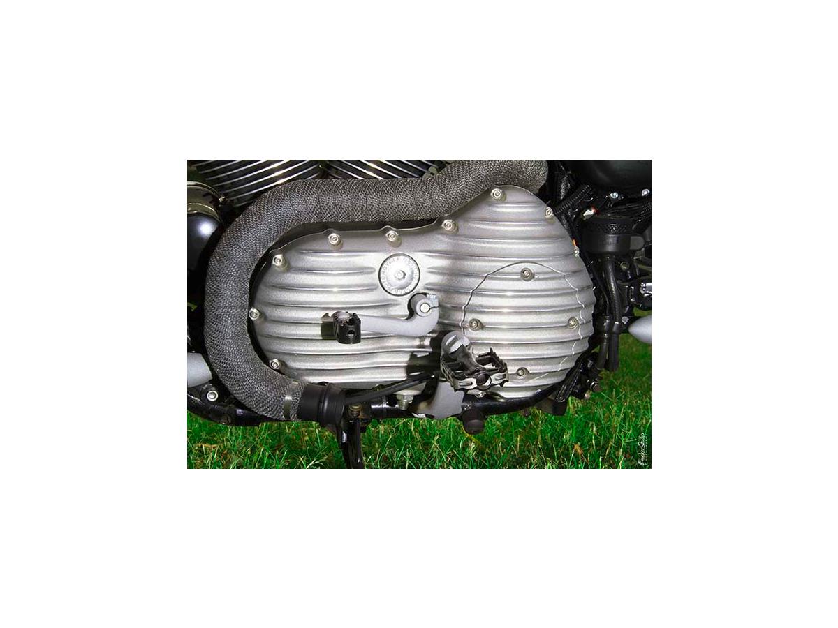 Emd Ribsters Primary Cover Raw Emd