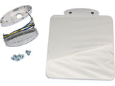 Ricks Motorcycles Ricks Rod License Plate Base Plate With Tail And License Plate Light Including Tail And License Plate Light, German Size 180 X 200mm Aluminium Polished Ricks Motorcycles Default Title