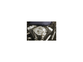 Cce Flame Skull Air Cleaner Cce