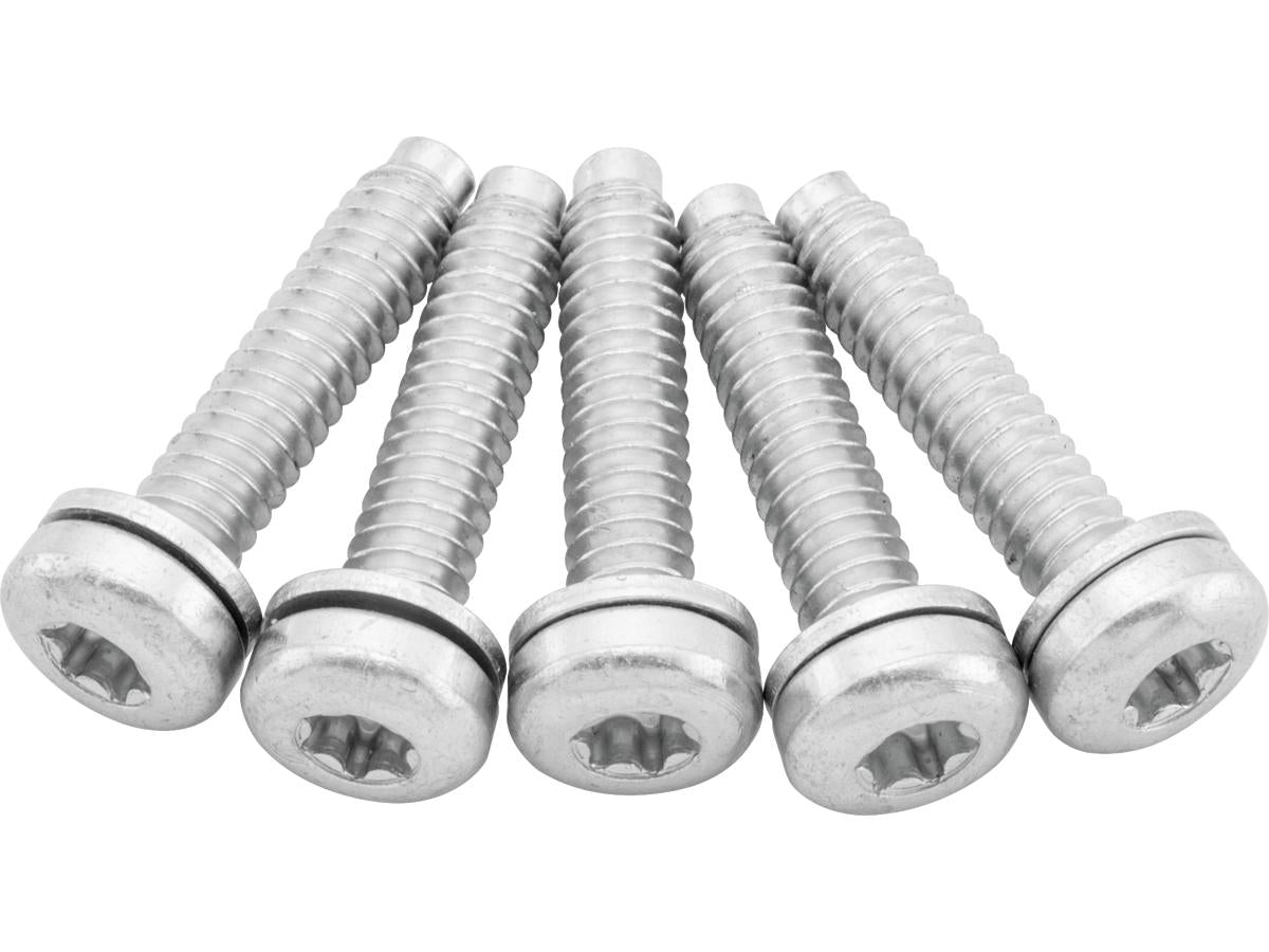 Cce Oem Replacement Fuel Pump Screws For Sportster Models Cce Default Title