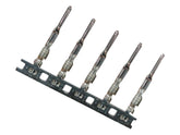 Namz Molex Mx 150 16 20 Gauge Stamped Male Pins Namz Default Title