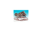 James Gasket Cam Cover Gasket Pack 5 James Gasket Default Title