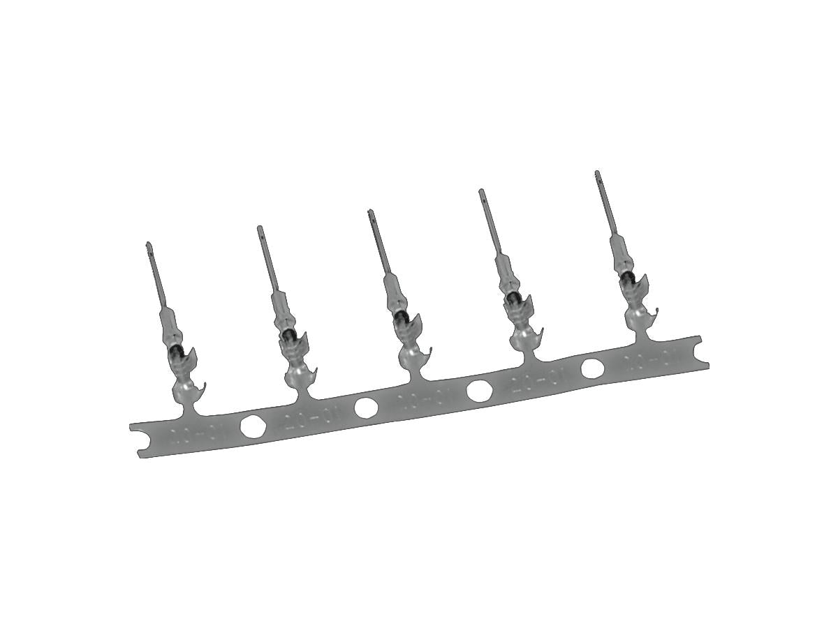 Namz Deutsch Dtm Male Socket Stamped Crimp Pins Namz Default Title