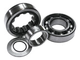 Cce Roller Cam Bearing Cce Default Title