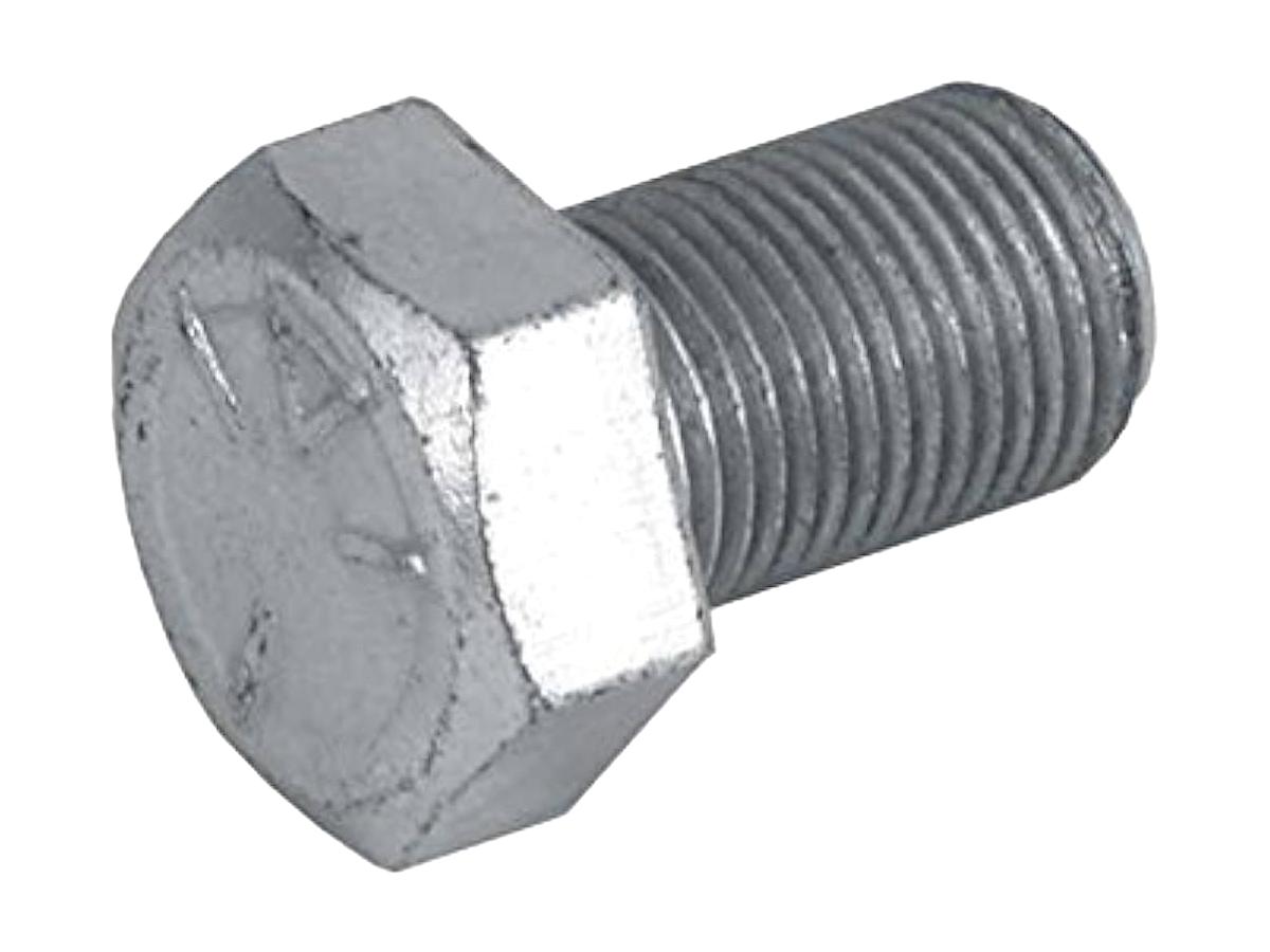 Colony Steering Stem Bolt Without Whasher, Without Thread For Stem Cup Zinc Plated Colony Default Title