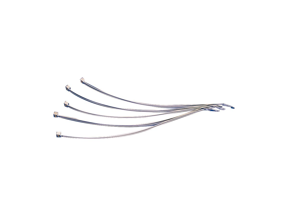 Cce 300 Mm Chrome Cable Ties Cce Default Title