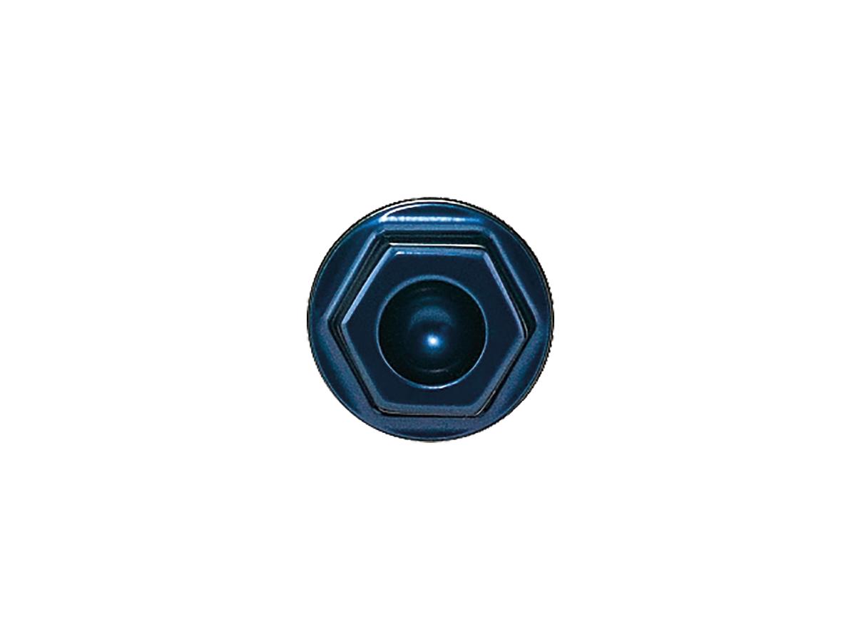 Performance Machine Vintage Brake Caliper Bolt Blue Performance Machine