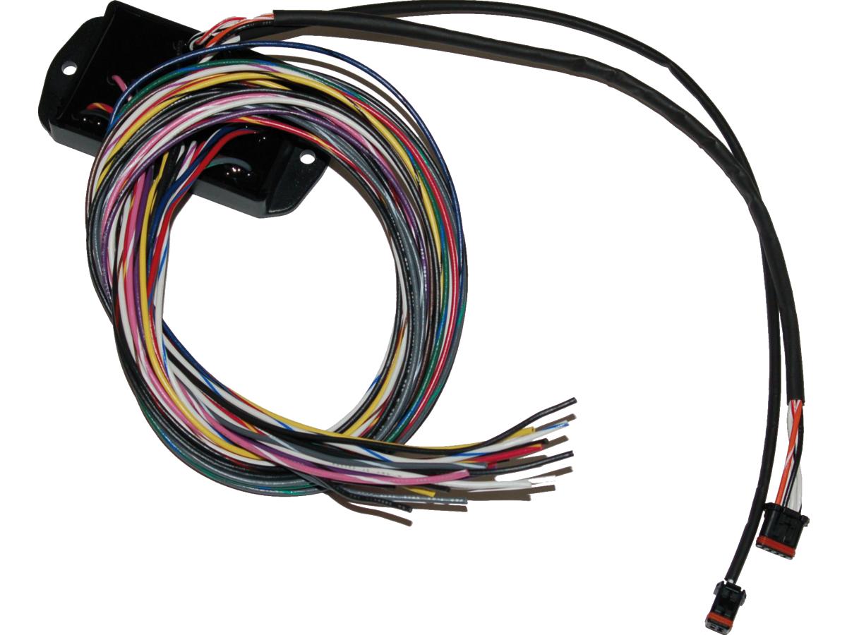 Namz Bagger Can Bus Controller For Custom Handlebar Switches Can Bus Controller For Custom Handlebar Switches Namz Default Title