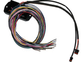 Namz Bagger Can Bus Controller For Custom Handlebar Switches Can Bus Controller For Custom Handlebar Switches Namz Default Title