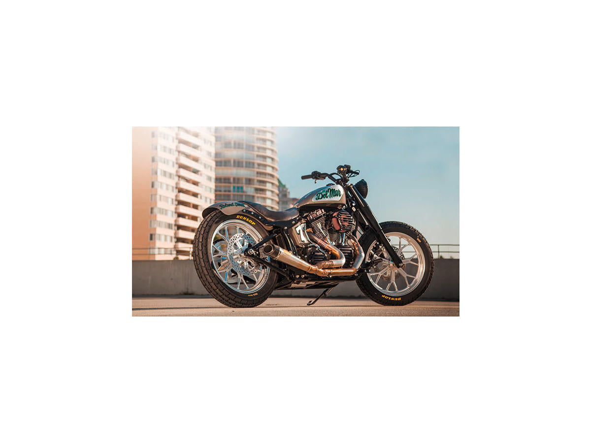 Roland Sands Design Tracker 200 Tire, Black Powdercoated Struts Rear Fender Kit For Softail Roland Sands Design