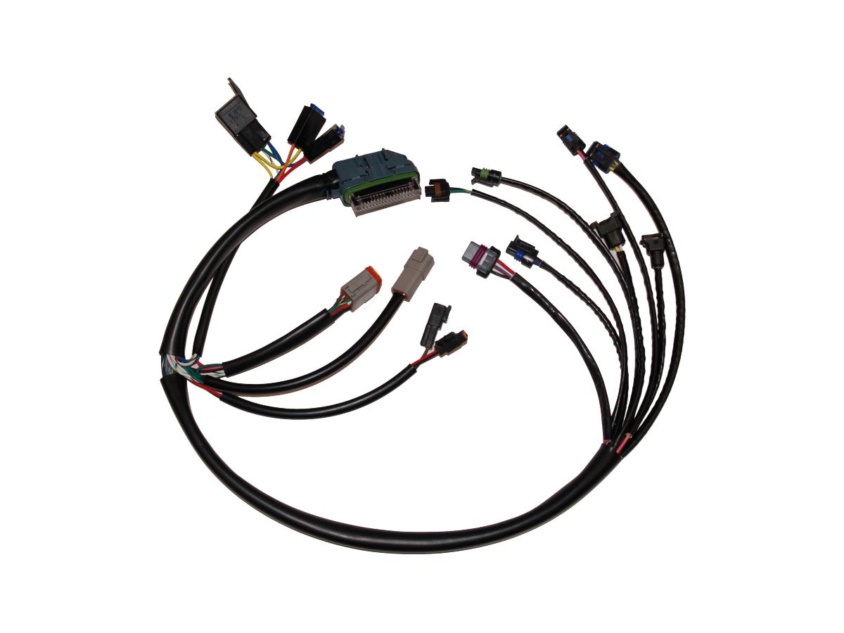 Namz Efi Harness Oem, Complete Efi Harness Namz Default Title