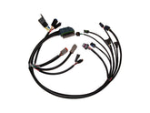 Namz Efi Harness Oem, Complete Efi Harness Namz Default Title