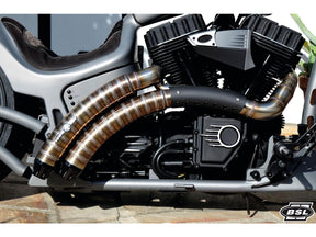 Bsl Rainbow V2 Snake On The Road Exhaust System , Black Hole Heat Shield, Black Smith And Listen End Cap, Outline 2,5" Bsl Default Title