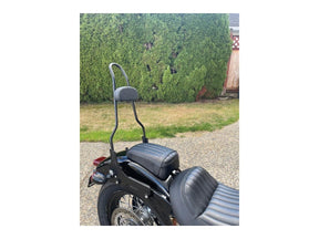 Motherwell 23" Quick Release Sissy Bar With Pad Gloss Black Powder Coated Motherwell